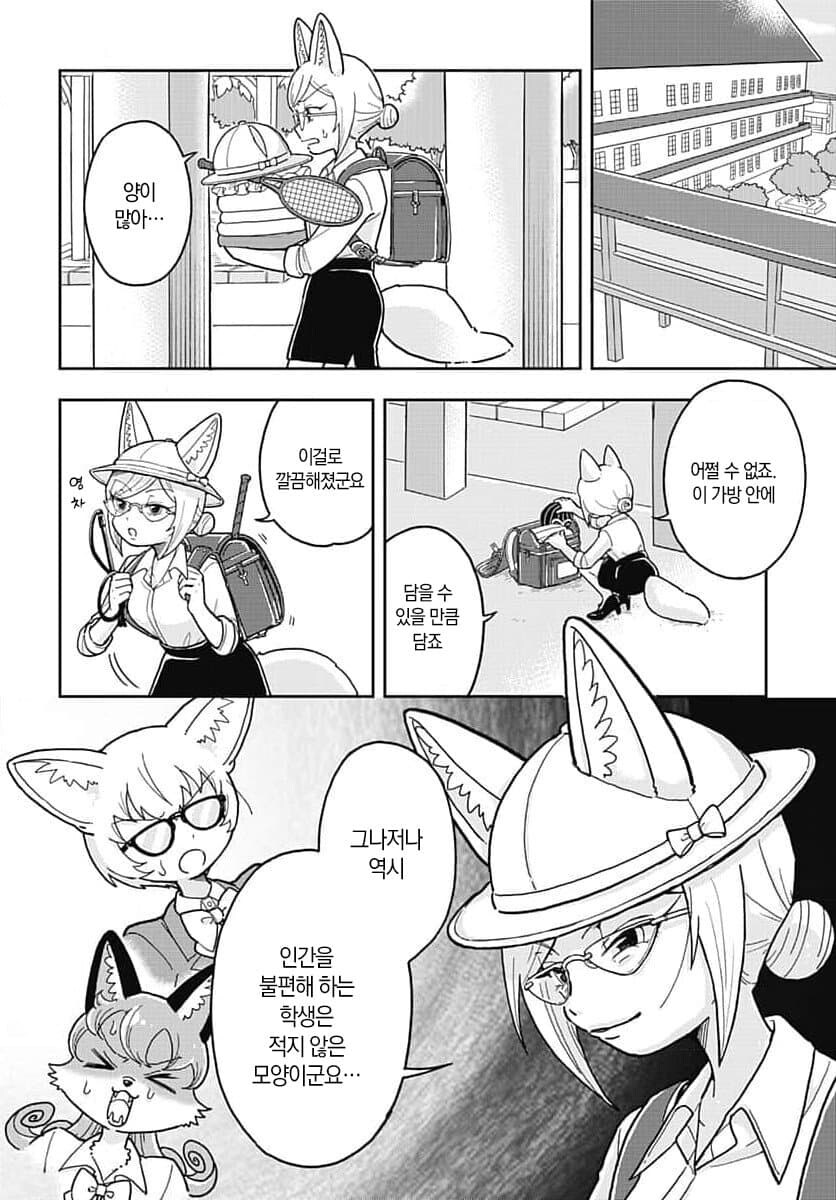 인간에 대해 궁금해하는 여우 만화_16.jpg