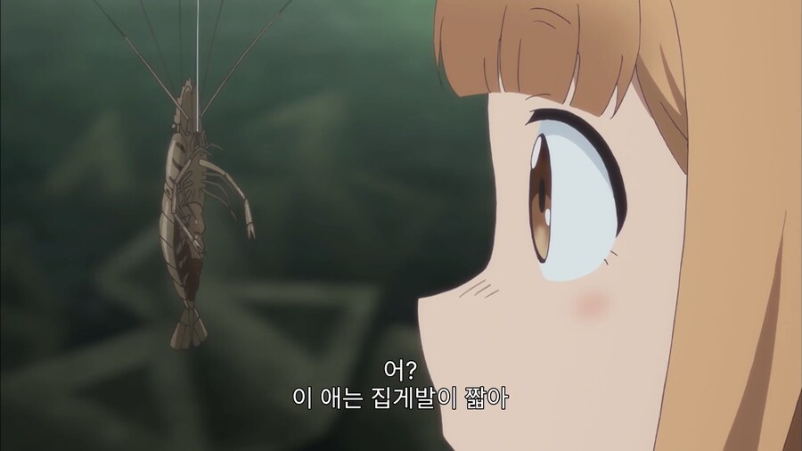 암컷이라 살았다...!_1.jpg