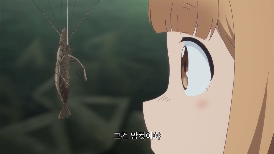 암컷이라 살았다...!_2.jpg