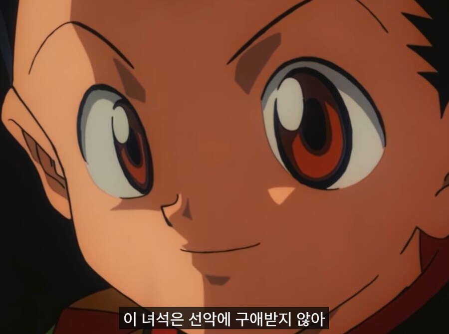 헌터x헌터) 곤에 대한 정확한 평가_1.png