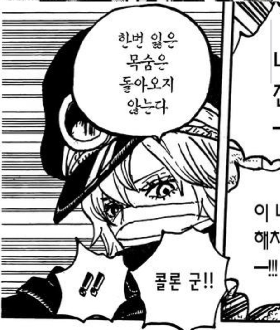 원피스)군코 디자인 자체도 브룩이랑 연계되는구나.._6.jpg