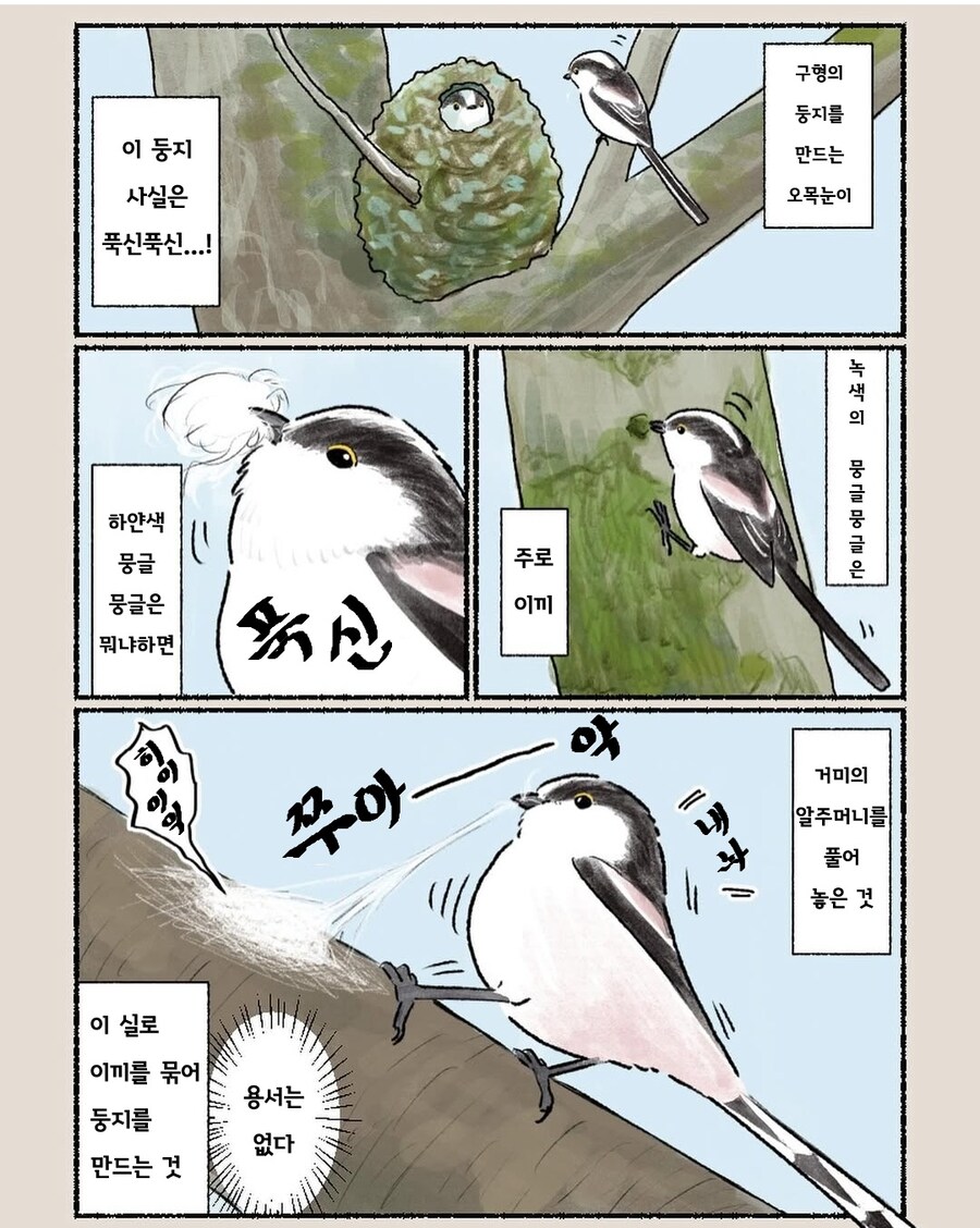 번역) 오목눈이 만화_2.jpg