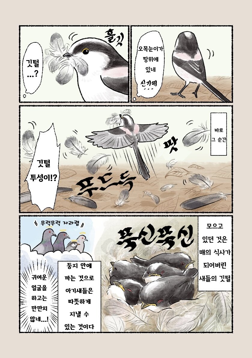 번역) 오목눈이 만화_4.jpg