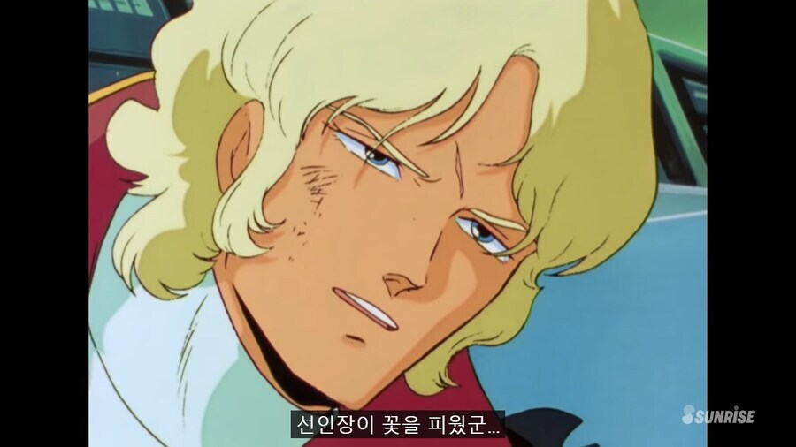 @) 선인장이 꽃을 피웠군_1.jpg