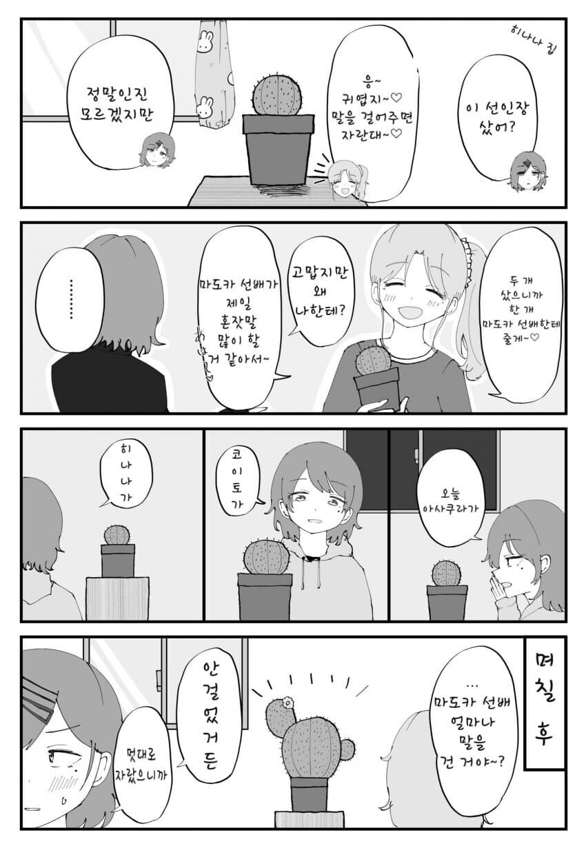 @) 선인장이 꽃을 피웠군_4.jpg