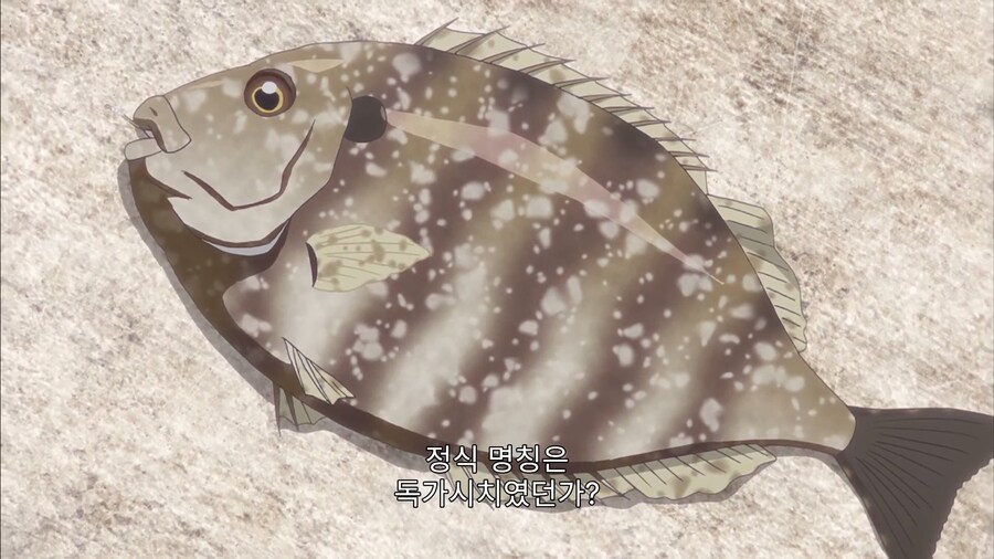 내 몸에는 독이 있으니 놔주거라 포식자들이여_1.jpg