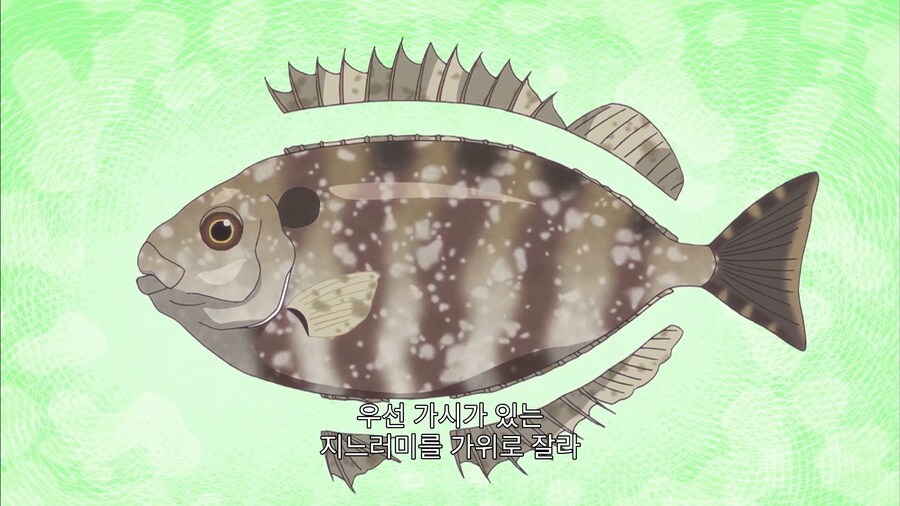 내 몸에는 독이 있으니 놔주거라 포식자들이여_6.jpg