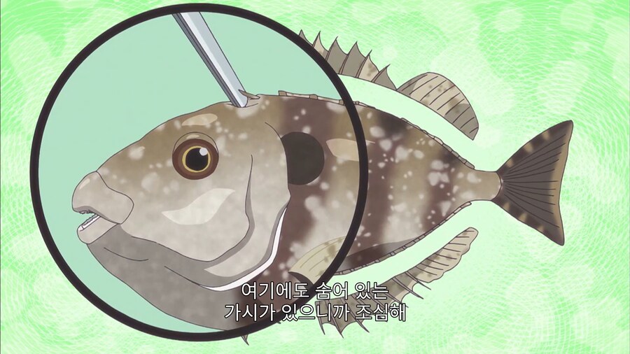 내 몸에는 독이 있으니 놔주거라 포식자들이여_7.jpg