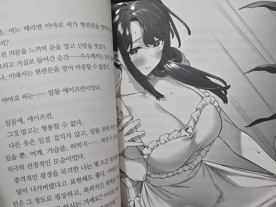 개인적으로 꼭 추천하는 라노벨_5.jpg