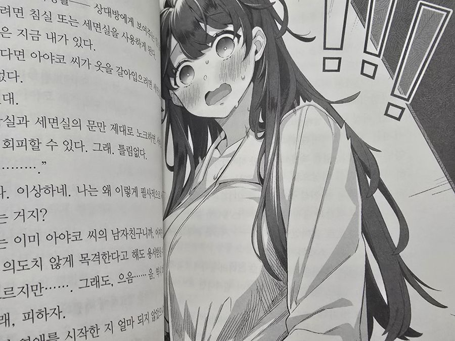개인적으로 꼭 추천하는 라노벨_6.jpg