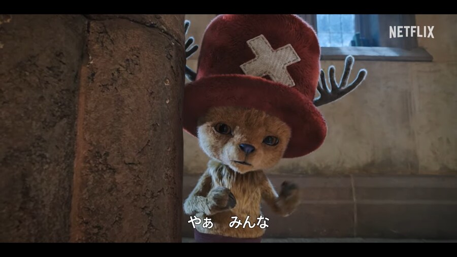 원피스) 드라마 쵸파 나왔네_2.png