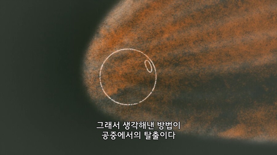 우주 비행사들이 낙하산 기술을 반드시 익히는 이유_10.jpg