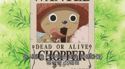 원피스) 쵸파 현상금만 저따구인 이유에 대한 추측_1.png
