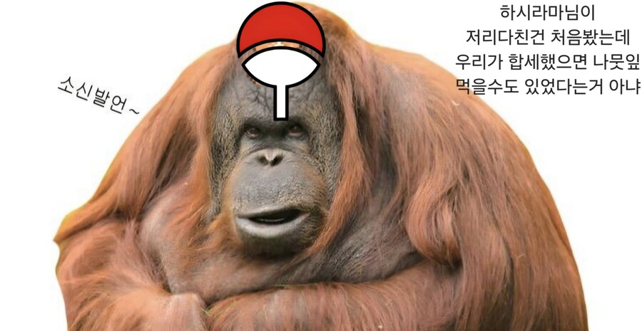 나루토) 2대님이 진짜 석나가서 만든 곳_8.jpg