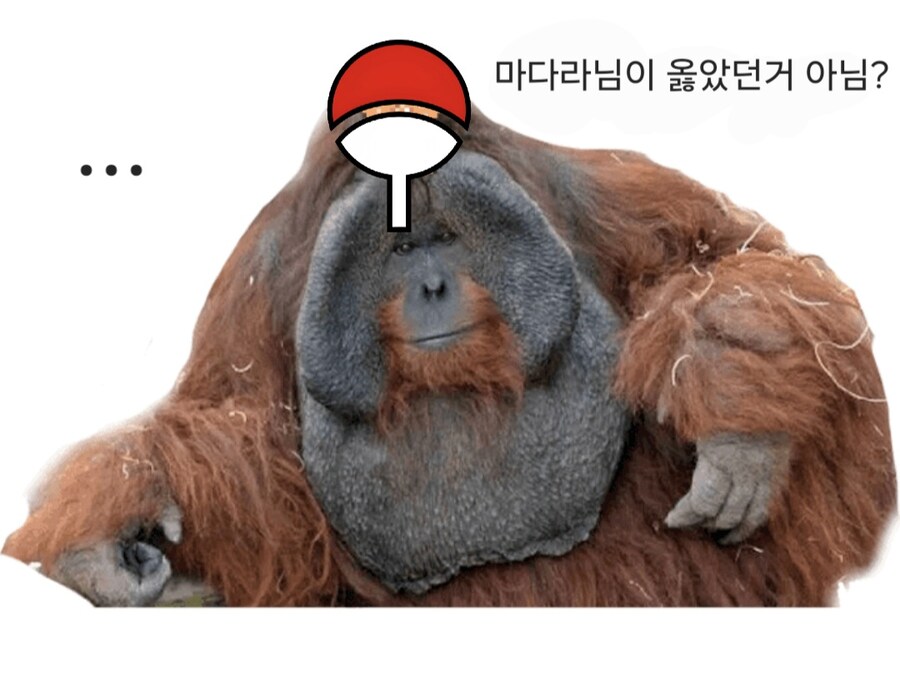 나루토) 2대님이 진짜 석나가서 만든 곳_5.jpg