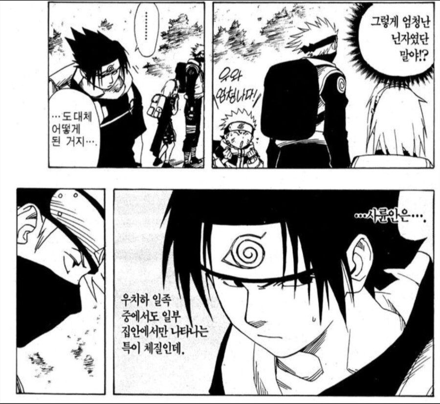 나루토) 2대님이 진짜 석나가서 만든 곳_15.jpg