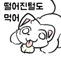 식당에서 털 먹는 만화_2.webp