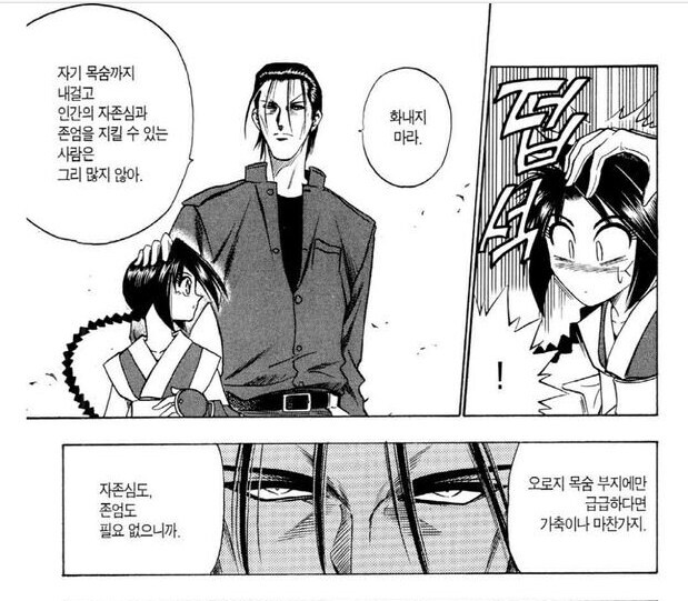 바람의 검심 - 1/3의 순수한 감정_1.jpg