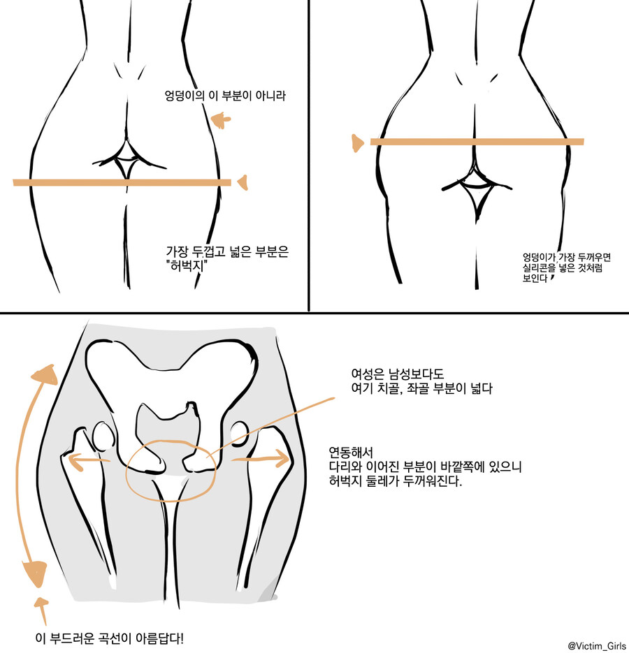의외로 엉덩이보다 중요한거_1.jpg