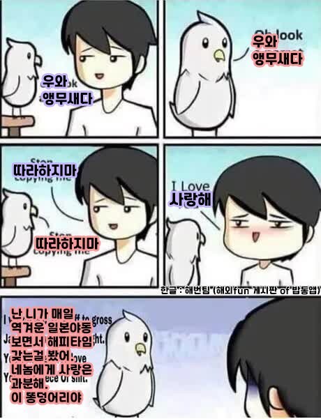 앵무새에게 말 가르치는.manhwa_1.jpg