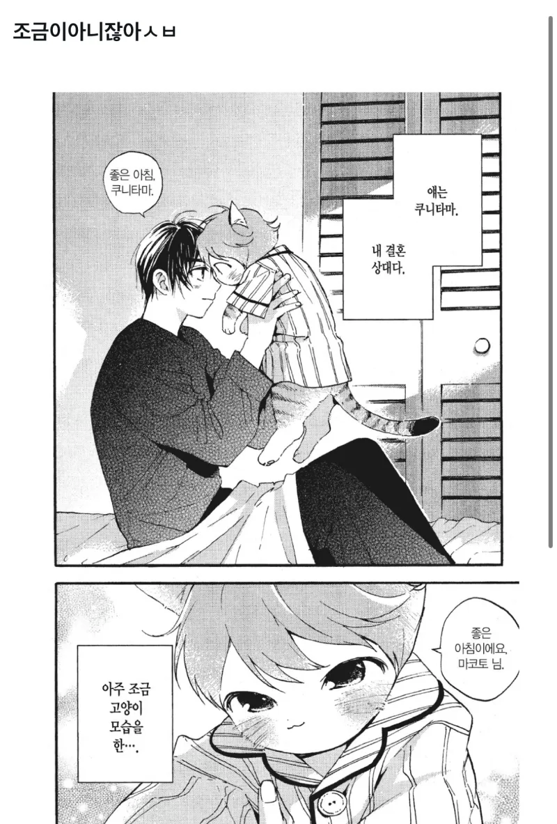 조금 고양이상인 약혼자 만화_1.webp
