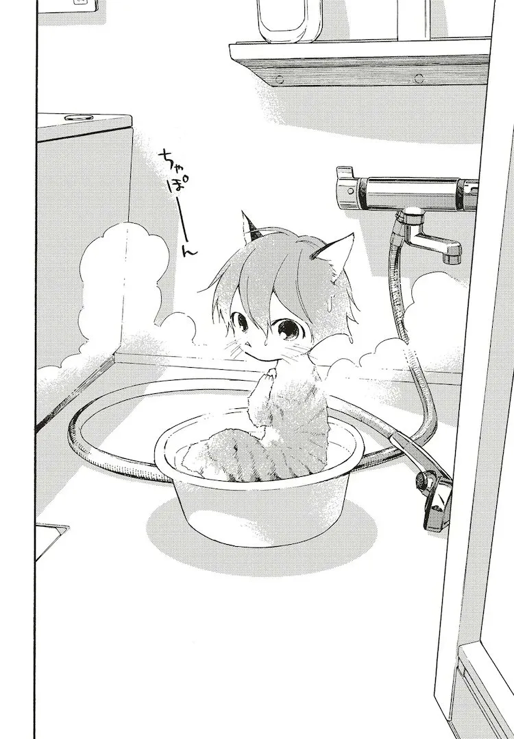 조금 고양이상인 약혼자 만화_4.webp