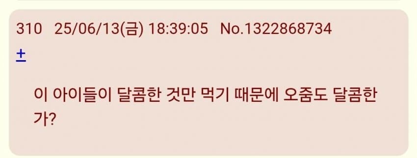 (트릭컬)벌써부터 미쳐 날뛰는 일본서버 볼장연들_10.jpg