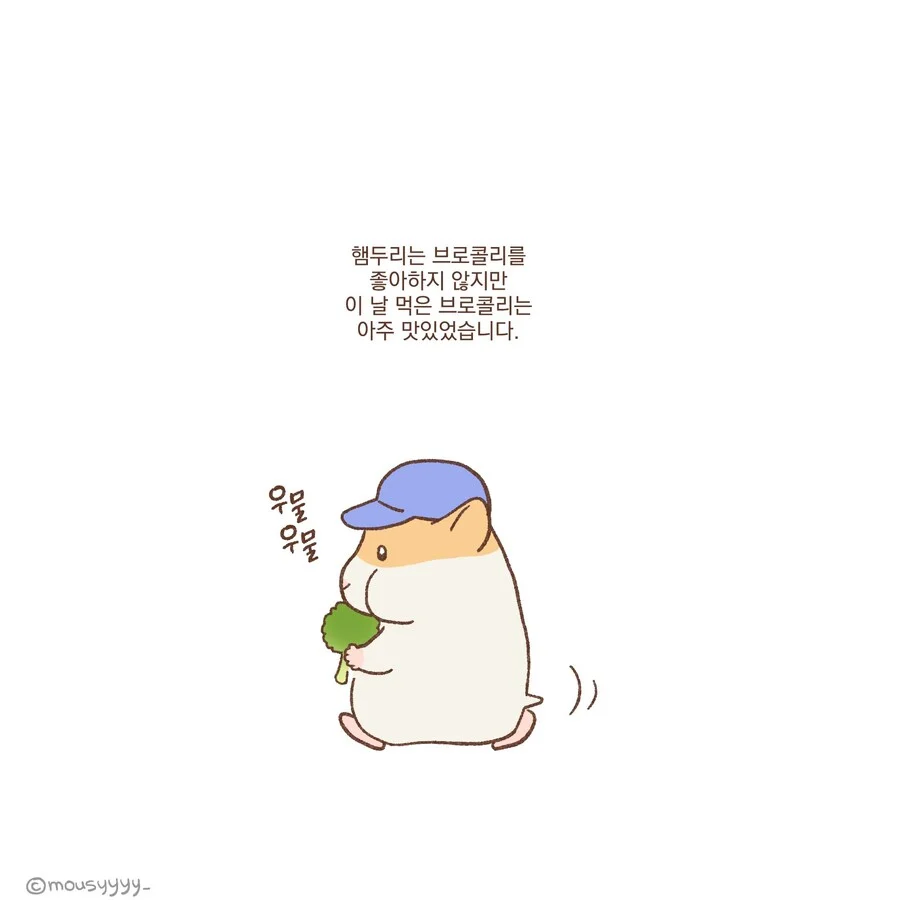 햄스터 렌탈 서비스 만화.manhaw_4.webp