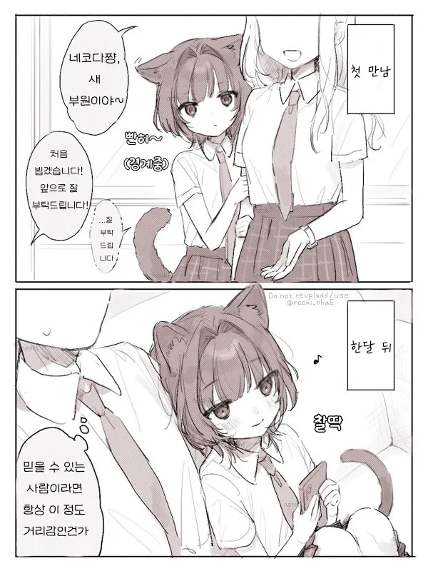 가리감이 0과 100 밖에 없는 고양이 만화_1.webp