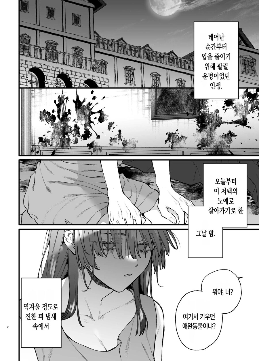 킬러의 위태롭고 맹목적인 사랑에 애완 펫은 저항할 수 없어.manhwa_1.jpg