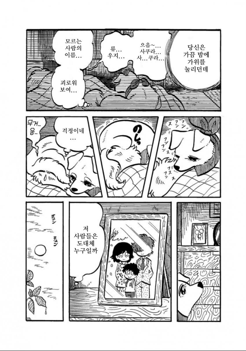 이거보고 댕댕이한테 잘해주기로함._8.jpg