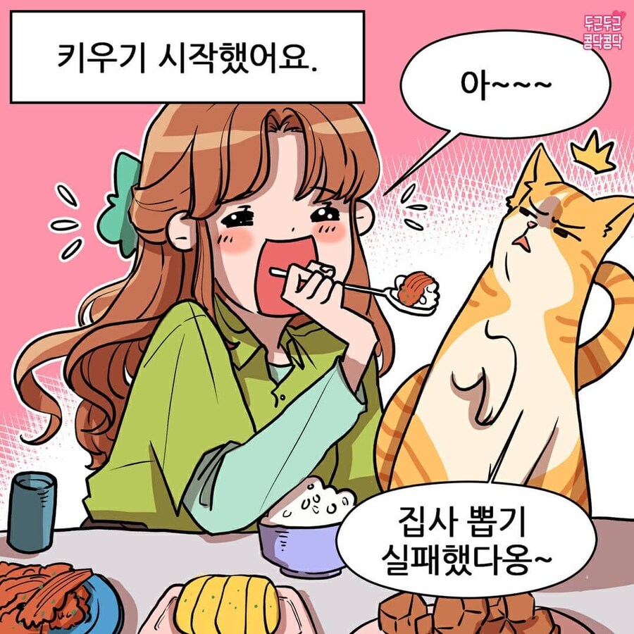 여친이 길냥이주워서 키우는만화_2.jpg