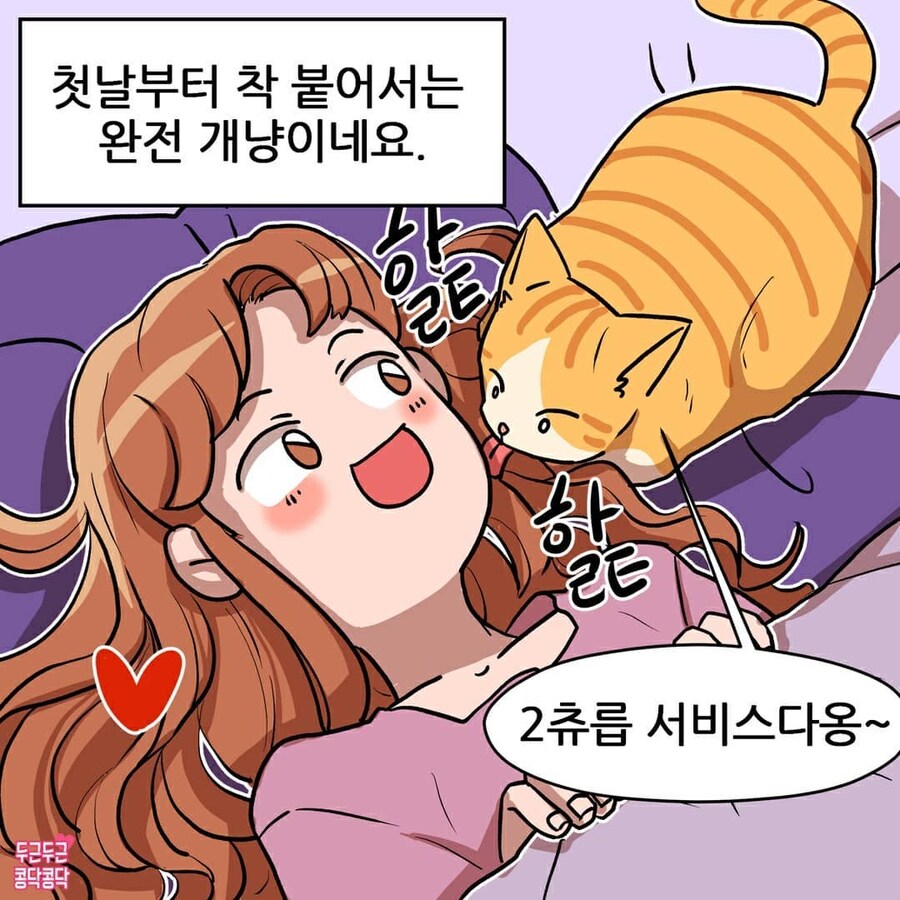 여친이 길냥이주워서 키우는만화_3.jpg