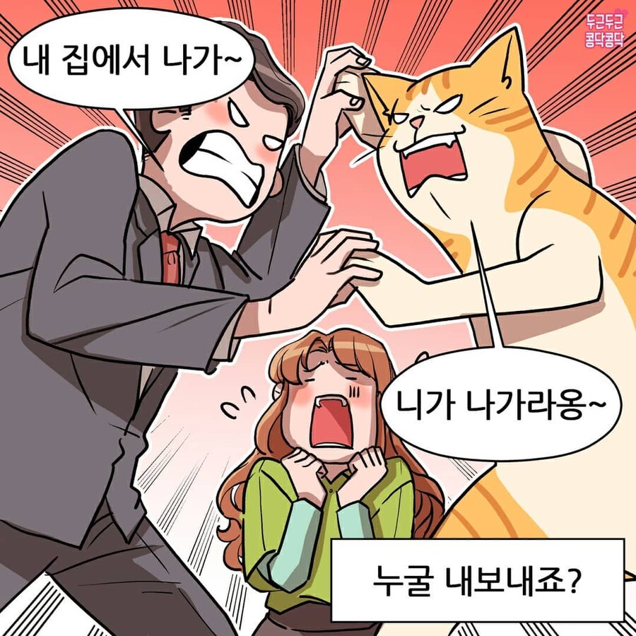 여친이 길냥이주워서 키우는만화_6.jpg