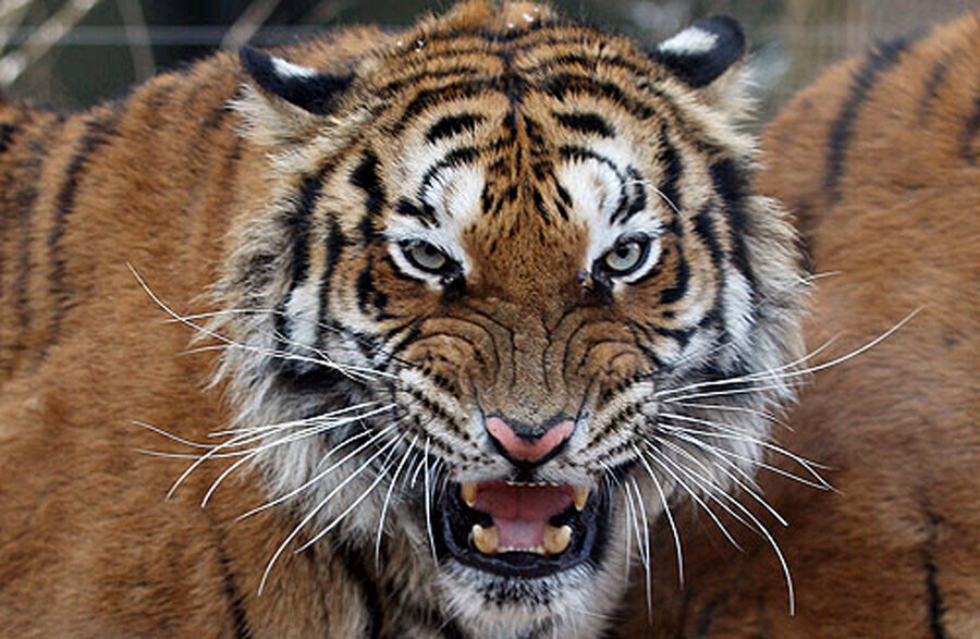 이제 알았는데 Ai 만들 짤이나 만화를 돈 받고 파는군요..?_1.jpg