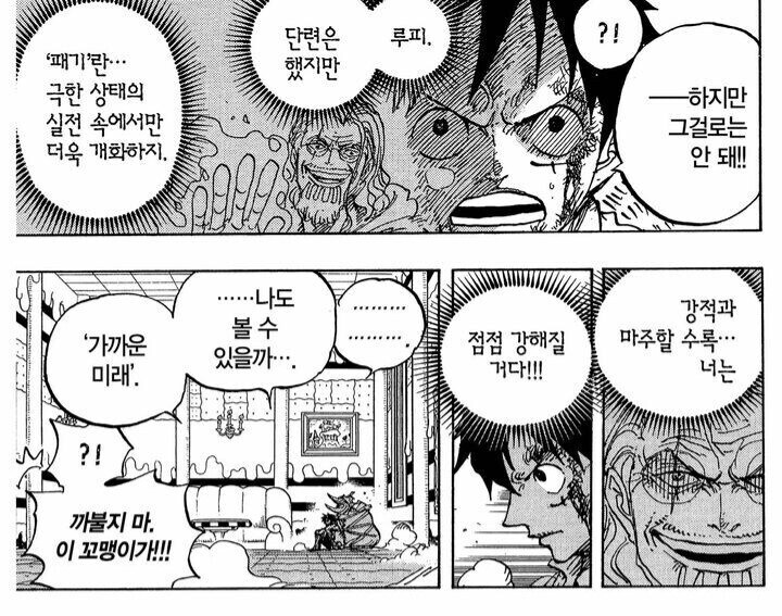 원피스)의외로 가르칠 거 다 가르친 레일리_3.png