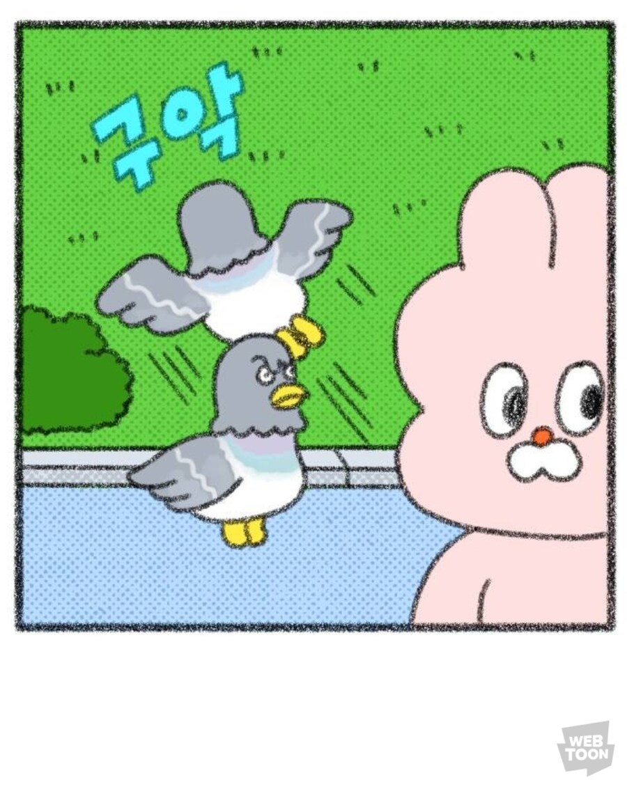 호호와거난이) 참새와 비둘기.manga_4.jpg