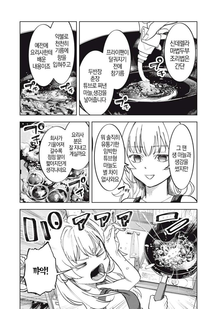 몰락한 귀족 영애가 마파두부 먹는.manhwa_17.jpg