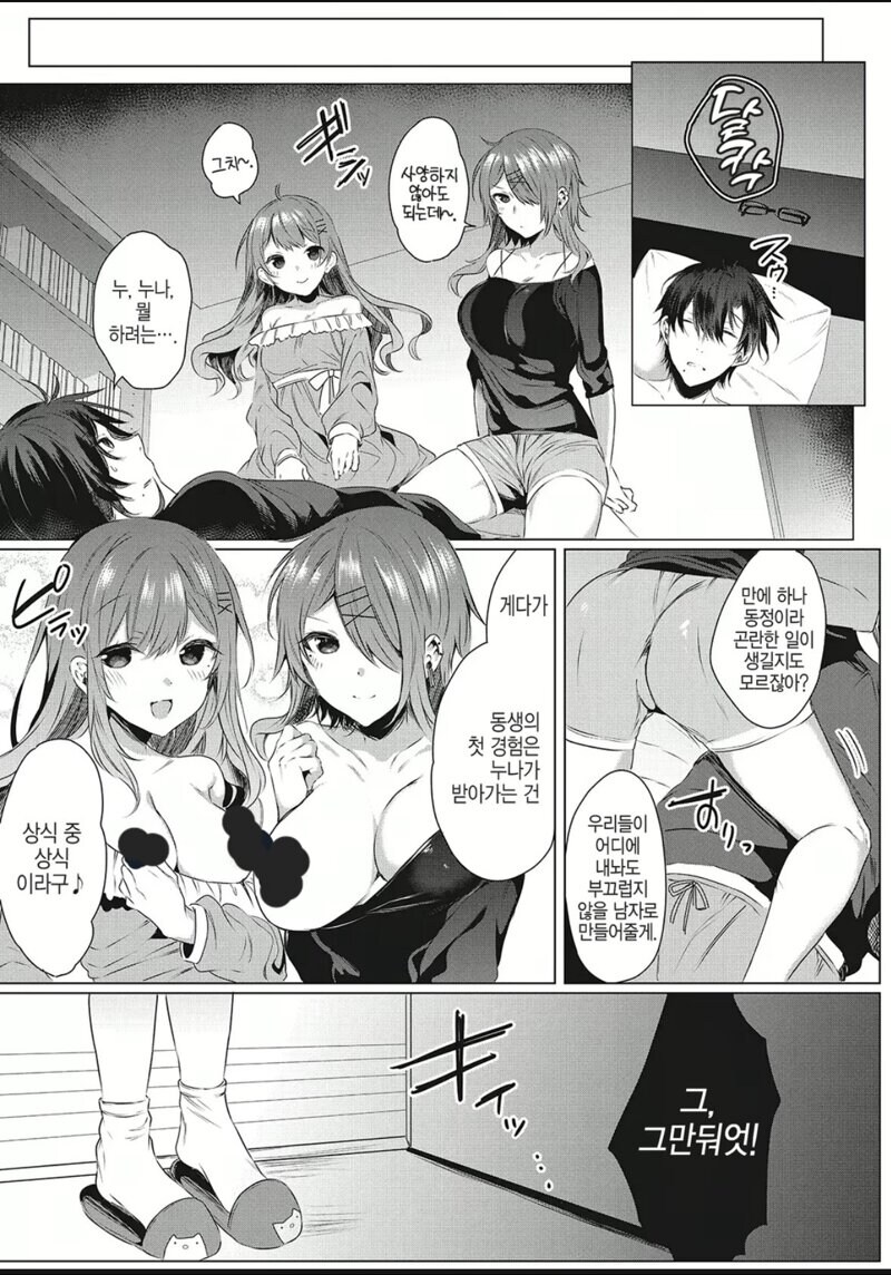 누나있는 집 특징 만화_1.jpg
