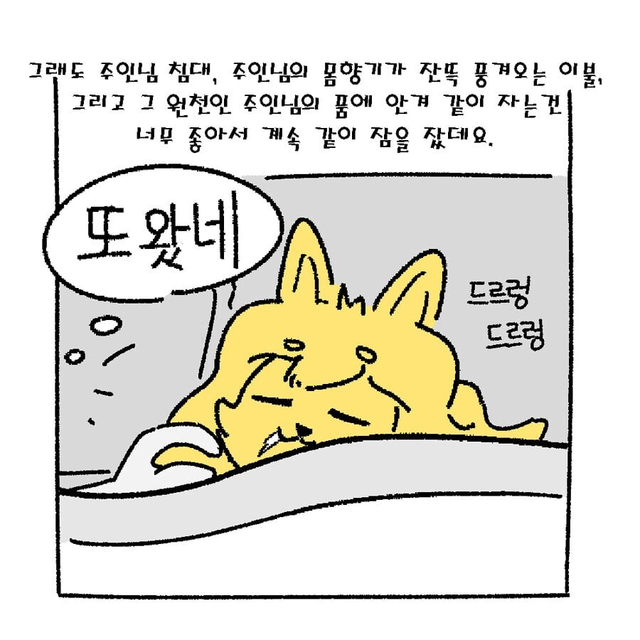 주인을 너무 사랑하는 댕댕이...manhwa_12.jpg