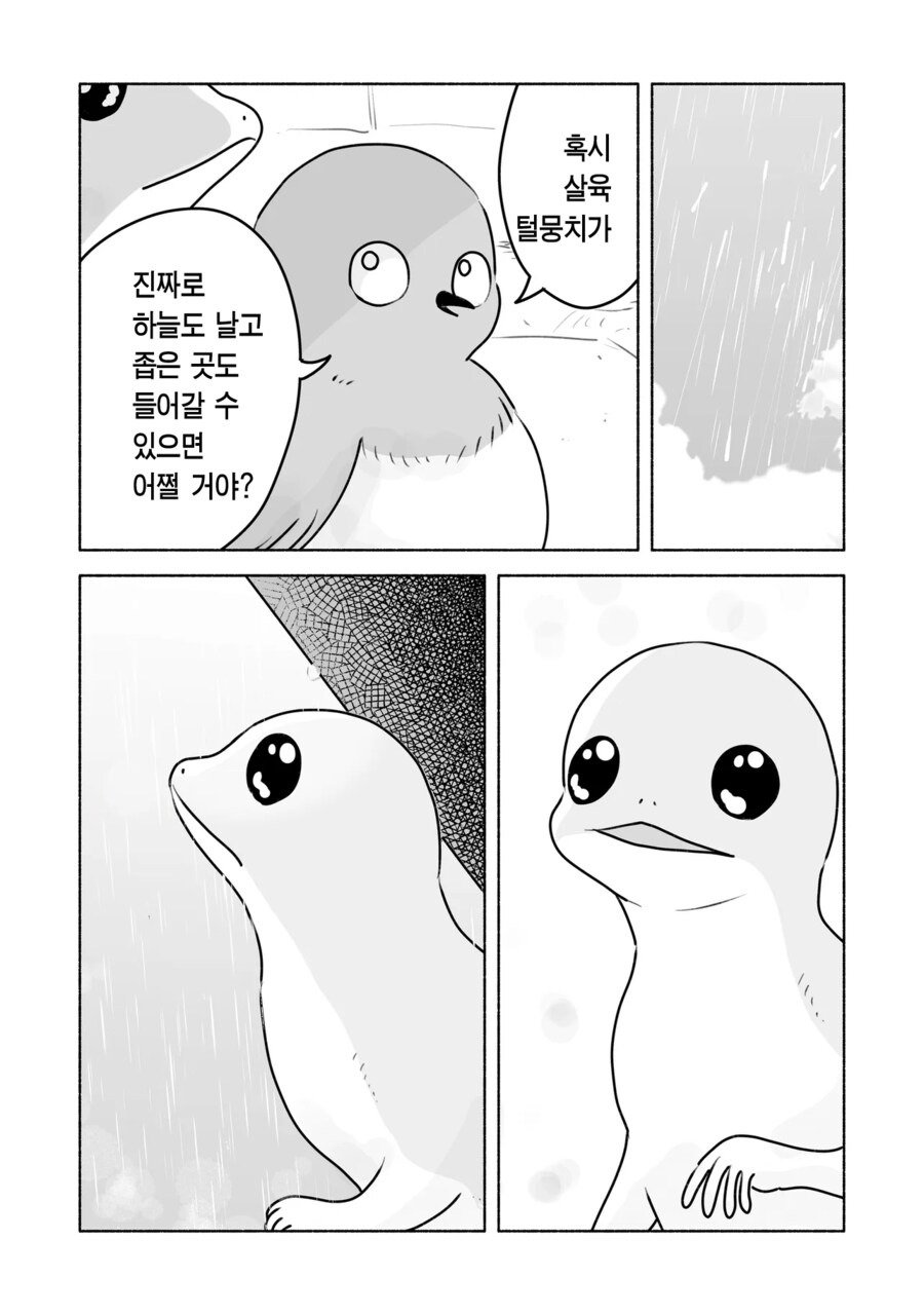 고양이에 대해서 이야기하는 도마뱀과 아기새.manhwa_5.png