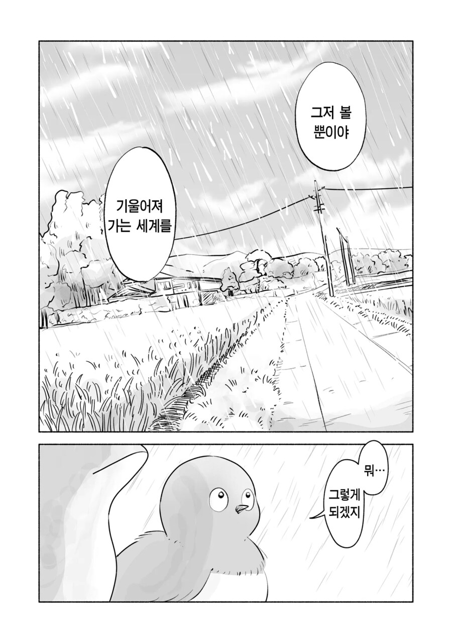고양이에 대해서 이야기하는 도마뱀과 아기새.manhwa_6.png