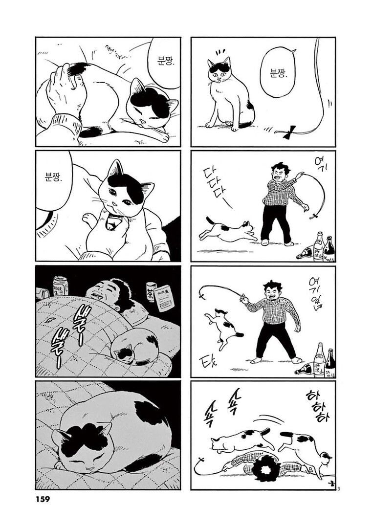 집고양이 분짱의 일년.manga_3.jpg