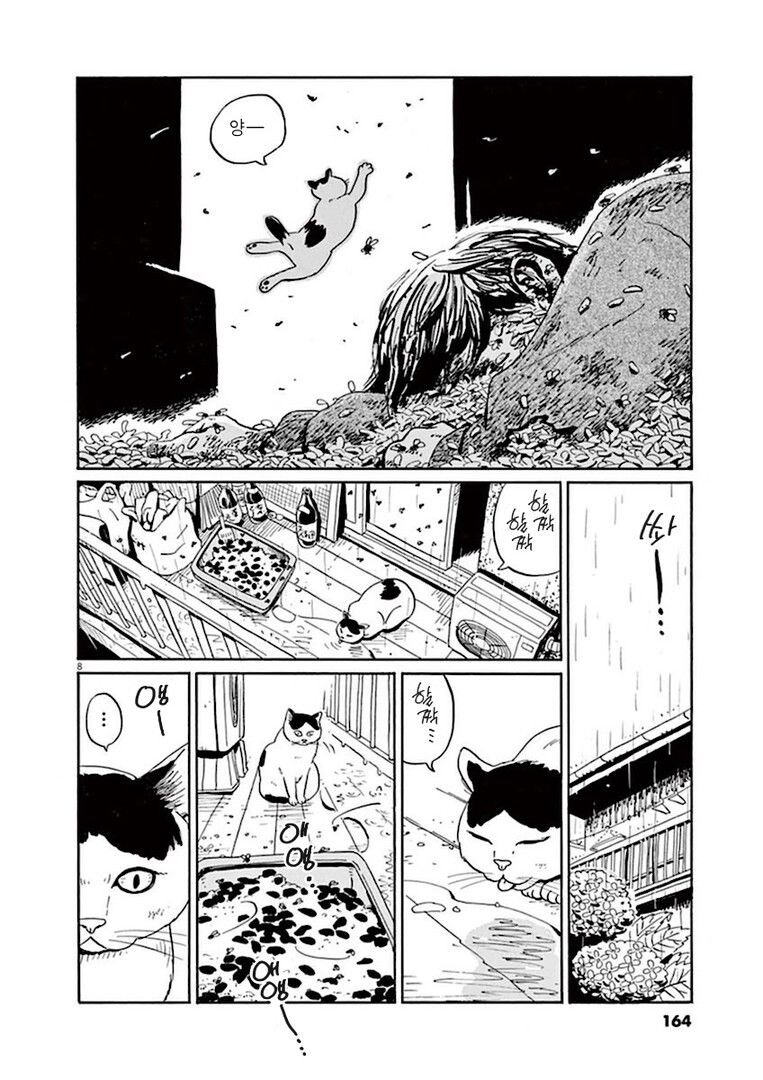 집고양이 분짱의 일년.manga_8.jpg