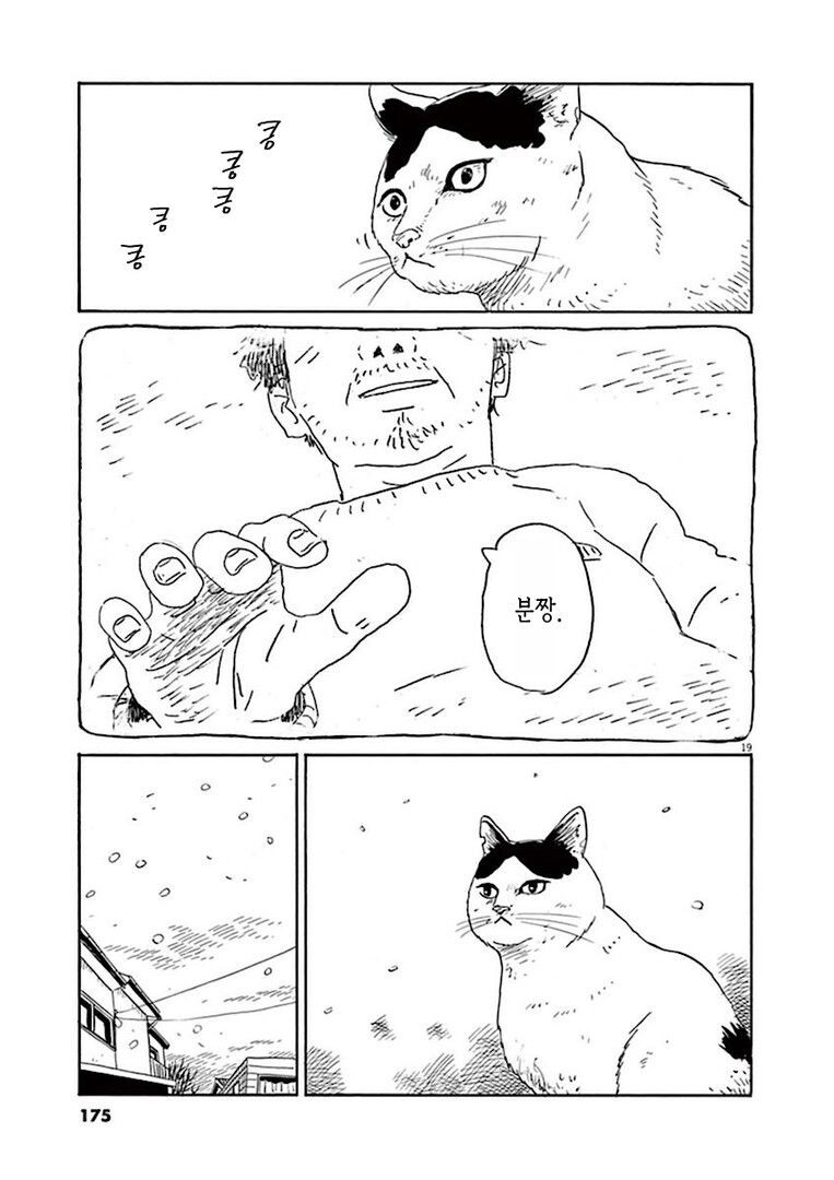 집고양이 분짱의 일년.manga_19.jpg