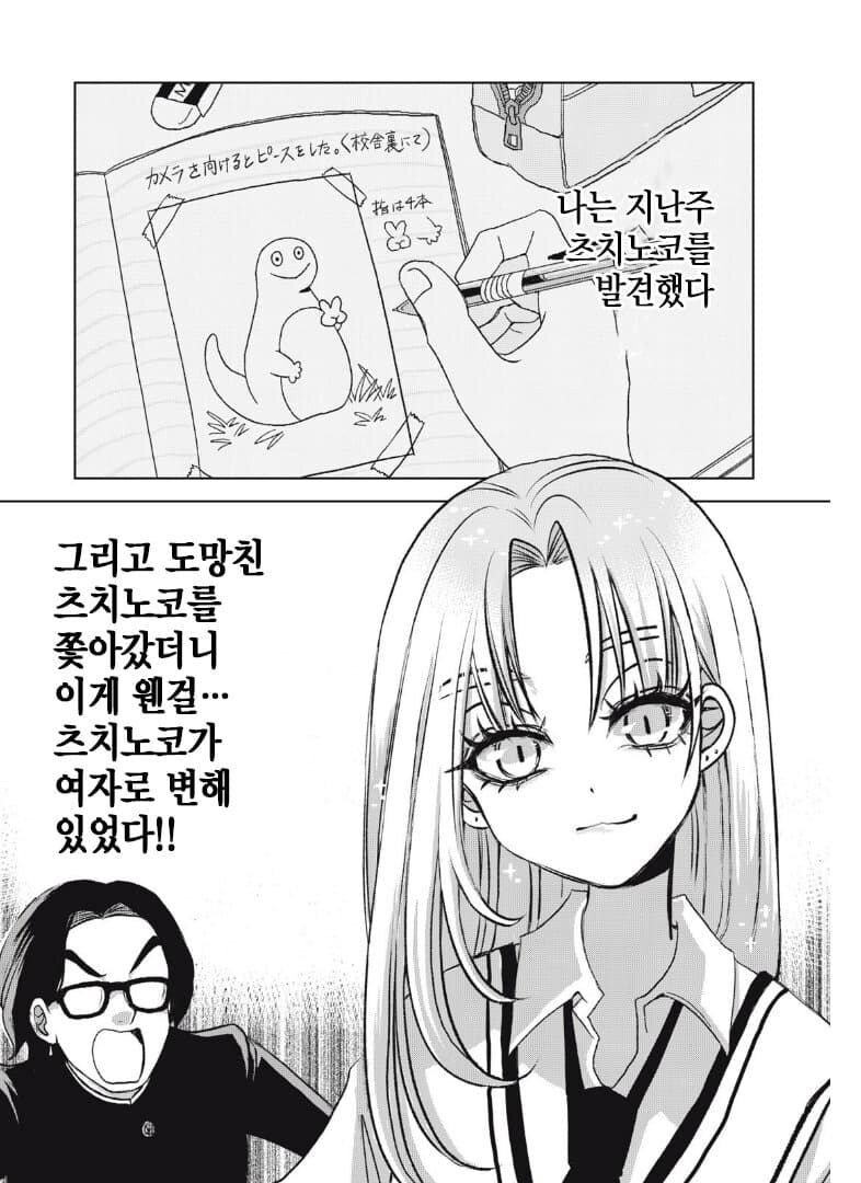 츠치노코가 갸루가 되어버린 만화.manga_24.jpg