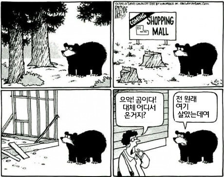 충격적인 미국에서 곰이 마을에 내려오는 이유. manga_1.jpg