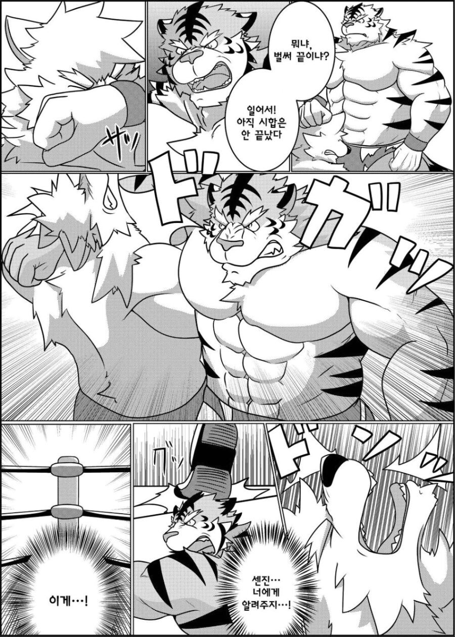 근육퍼리가 레슬링 하는 manhwa_14.jpg