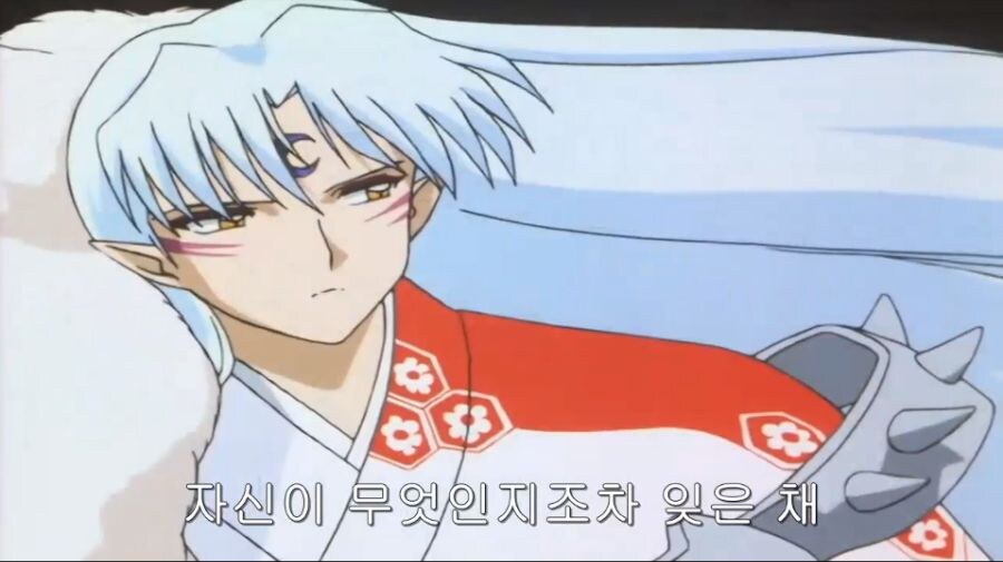 [이누야샤]
