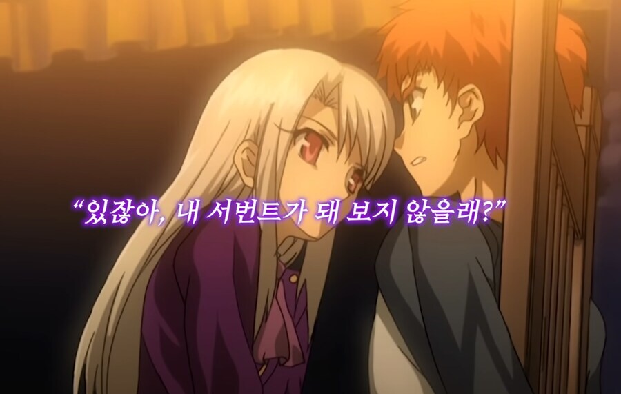 Fate) 이리야 빠는건 페도 아님_1.jpg